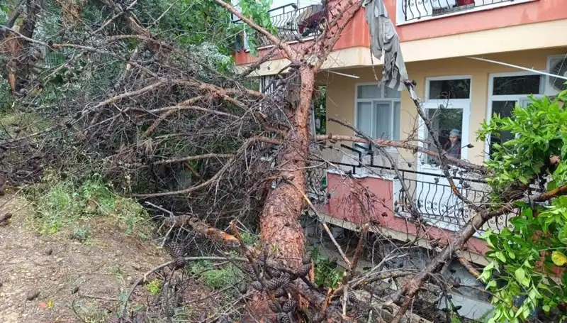** Yağmur Korkutucu Gücünü Gösterdi: Bina Devrildi!**