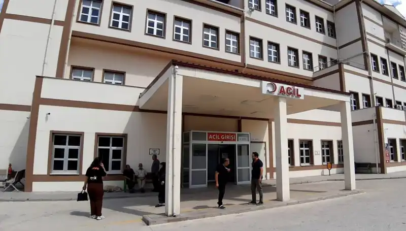 Bolu'da Ayı Avı Kararı: Doğa Koruma mı Yoksa Ekonomik Çıkar mı?