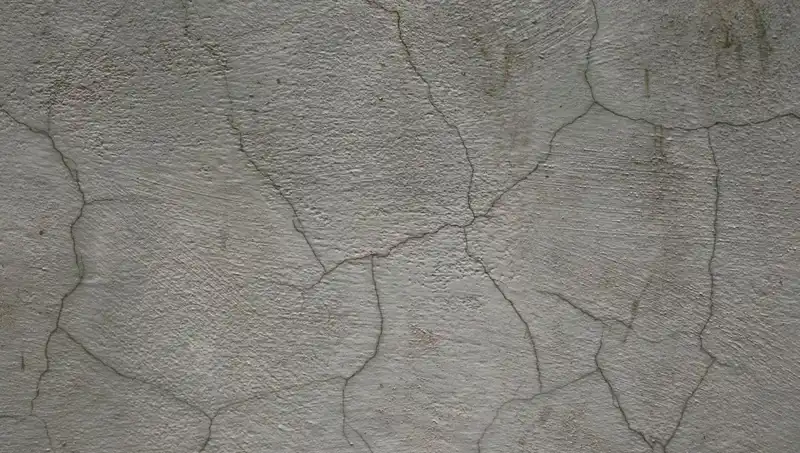 Canlı Beton: Çatlakları Kendi Kendine Onaran İnovasyon