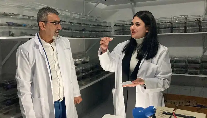 Akrep Zehrini Şekere Damlatıp Yiyor: Bu Garip Geleneğin Sırrı Ne?