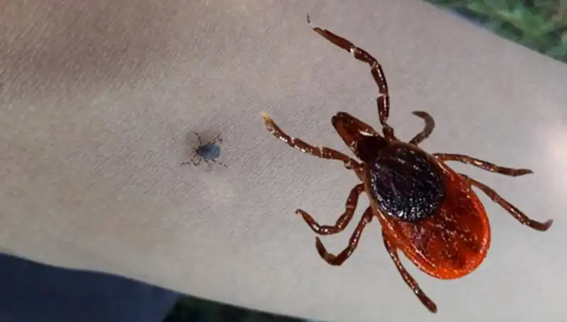 Kene Kabusu: Sağlık Kuruluşunda Hayatını Kaybeden Hastanın Acı Hikayesi