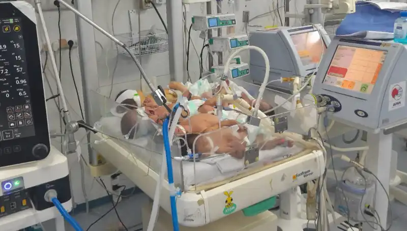 Gazzeli Doktorlar Kriz İçinde: Tek Kuvözde Birden Fazla Bebek