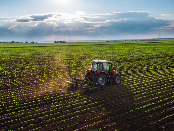Ekonomik Büyüme: Tarım Sektöründe Beklenen Dönüşüm Hala Gelmedi