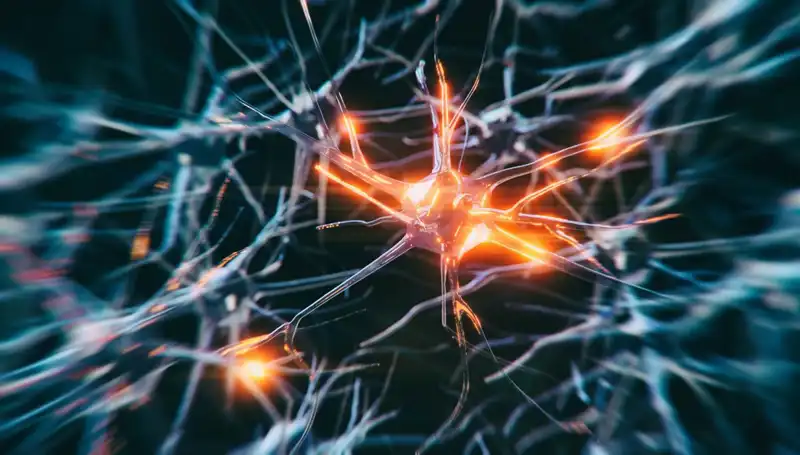 Alzheimer Vakalarındaki Artışın Arkasındaki Nedenler ve Etkileri