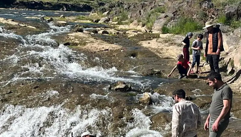 İnci Kefalinin Muhteşem Göçü: Turistlerin Akın Akın Geldiği Doğa Olayı