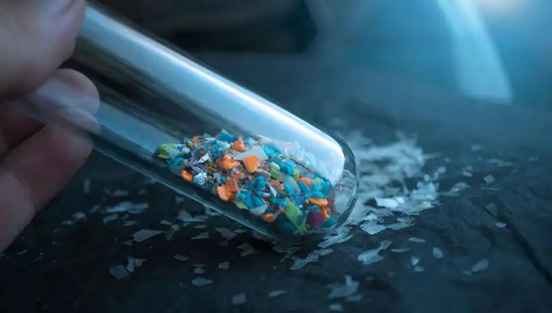 Mikroplastiklerin İnsan Beynine Etkileri: Şok Edici Bulgular Ortaya Çıktı