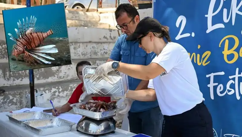 Antalya'da İstilacı Aslan Balığı Avlama Yarışması: Ekosistema Duyarlı Çözümler