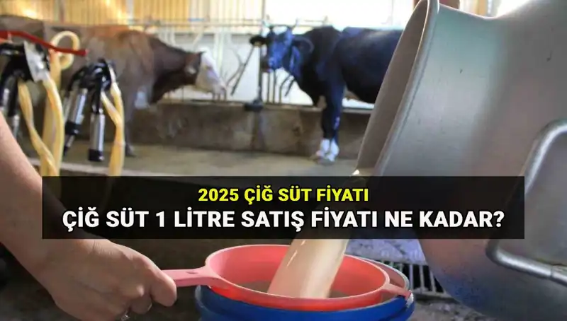 2025 Yılı İçin Güncel Çiğ Süt Fiyatları: Maliyeti ve Etkileri
