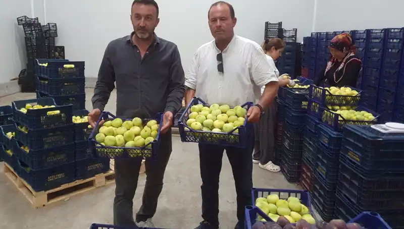 Mersinli Çiftçilerin Yüzü Güldü: Ürünler 20 TL’den İhraç Ediliyor
