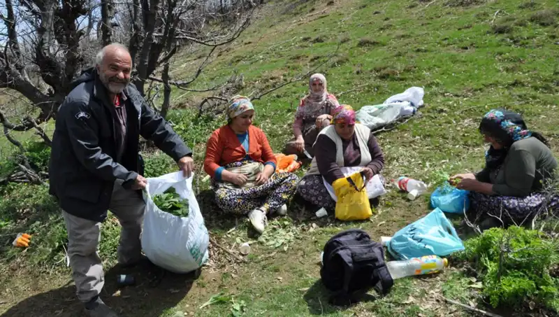 Türkiye’nin Köylerinde 5 Saatlik Yolculukla Kilo Kilo Toplanan Hafif Altın: Gelir Kaynağı