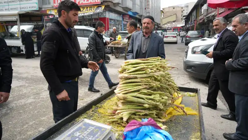 Doğanın Şifası: Dağlık Alanlardan Toplanan Şeker ve Faydaları