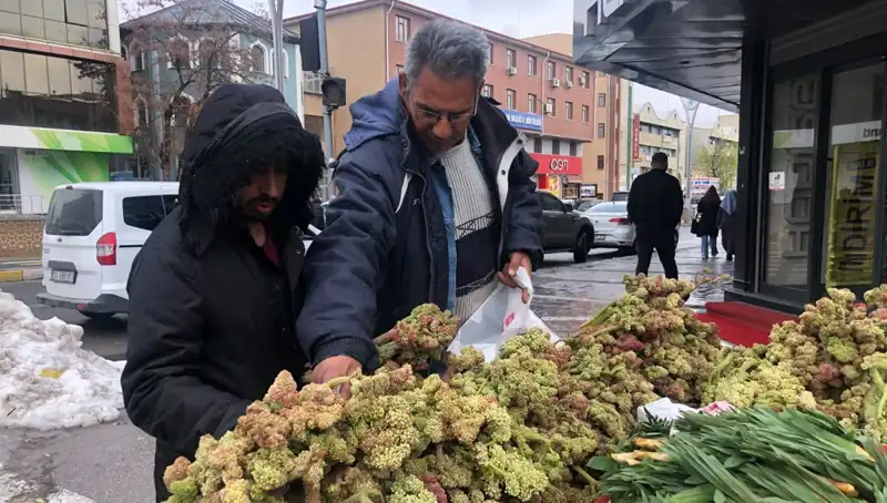 Taze Bir Umut: Kendiliğinden Yetişen Vitamin Deposunun Sağlık Üzerindeki Etkileri