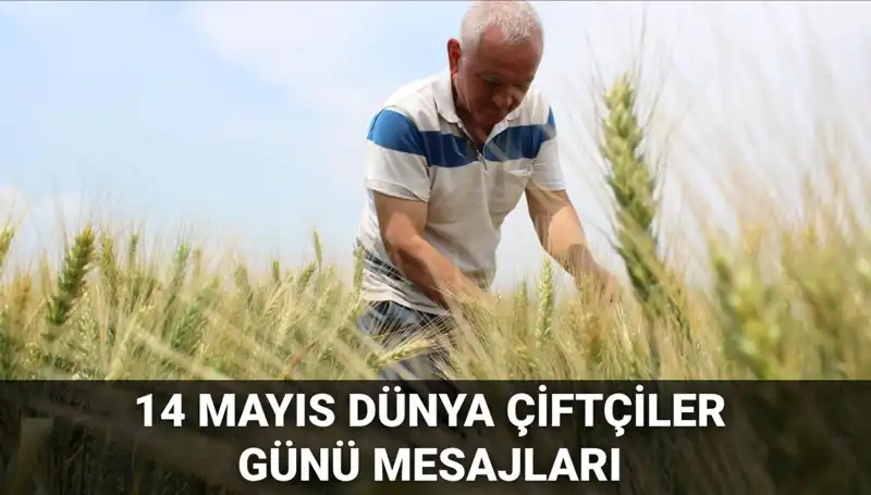 2025 Dünya Çiftçiler Günü: Çiftçiler İçin Anlamlı Mesajlar ve Kutlamalar