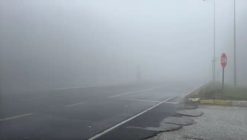 Bolu Dağı’ndaki Sis, Hisse Senedi Piyasalarını Nasıl Etkiliyor?