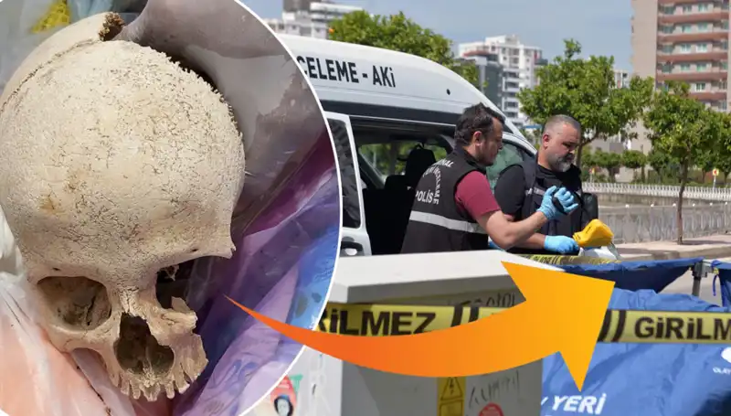 Sitenin Çöpünden Çıkan Kafatasının Gizemi Açığa Çıktı: Uzman Doktor Gözaltında!