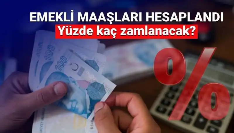 Emekli Zamları Hakkında Tüm Bilgiler: SSK, Bağ-Kur ve Emekli Sandığı